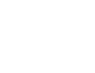 Blacks In Technology Foundation